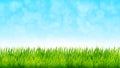 Nature background with green grass and blue sky. Vector illustration