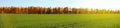 Nature background. Green grass field against a blue sky Royalty Free Stock Photo