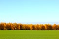 Nature background. Green grass field against Royalty Free Stock Photo