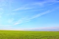 Nature background. Green grass field against Royalty Free Stock Photo