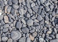 Nature background made of dry round stones Royalty Free Stock Photo