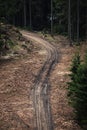 Muddy road in woods Royalty Free Stock Photo