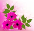 Nature background with pink beautiful flowers. Vec