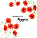 Nature background with a red watercolor poppy flowers. Royalty Free Stock Photo