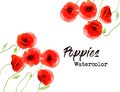 Nature background with a red watercolor poppy flowers. Royalty Free Stock Photo