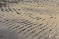 Ripples in wet sand on th northsea coast on low tide Royalty Free Stock Photo