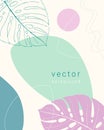 Nature background with shapes and pink monstera, template for flyer poster brochure and empty space for inscription.