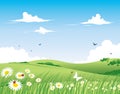 Nature Background - Spring