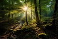 Nature background spring mist fog forest sunset sunrise morning Sun rays sunlight sunbeams Road path trail woods leaves trees Royalty Free Stock Photo
