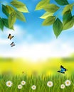 Nature vertical background with spring or summer scene Royalty Free Stock Photo