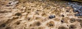 Nature background of stones and depressions carved in the rock on sea shore