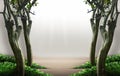 Nature background with surrounding trees. Isolated and clipping path Royalty Free Stock Photo