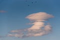 Nature background of tall cumulus clouds in evening light, blue sky and white clouds, birds flying