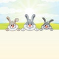 Nature Background with Three Bunny