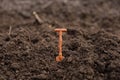 Nature background with toy shovel in soil