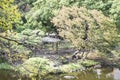 Nature background with view of traditional Japanese garden Royalty Free Stock Photo