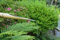 Nature background of water coming out of bamboo pipe at Japanese garden Royalty Free Stock Photo