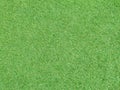 Nature background, wet green grass on the field, after rain. Royalty Free Stock Photo