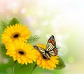 Nature background with yellow beautiful flowers an