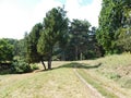 Beautiful summer landscape scenic path and trees growing in the city park Royalty Free Stock Photo