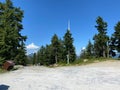 nature beauty with green trees and blue sky