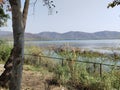 Nature and beauty of jal mahal Lake Jaipur Rajasthan India Royalty Free Stock Photo