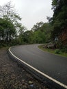 Nature beauty with nice curved road in forest it& x27;s lucking beautiful