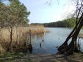 Walk in the park along the lake shore in the spring Royalty Free Stock Photo