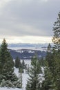 Nature, beauty, winter, mountains, snow and trees, what a view