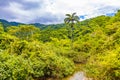 Tropical nature island Ilha Grande Praia de Palmas beach Brazil Royalty Free Stock Photo