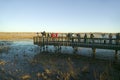 Nature and bird photographers photograph birds at sunrise from deck on lake at Bosque del Apache National Wildlife Refuge, near Sa