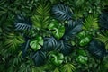 forest jungle green palm leaf tree black tropical colourful background nature. Generative AI. Royalty Free Stock Photo