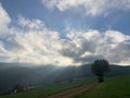 Nature in the Black Forest with sunbeams Royalty Free Stock Photo