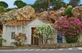 Nature and blooming oleanders in Lindos, the ancient city of Rhodes, Greece