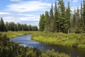 Nature blooms in spring. Chona river in the north of the Irkutsk region. Royalty Free Stock Photo