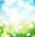 Nature blur background.