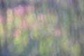 Nature blur background - abstract rain wallpaper