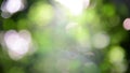 Nature blur background with bokeh