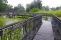 Nature Board walk through tropical swamps Royalty Free Stock Photo