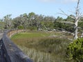 Nature Boardwalk Trail Jekyll Island Georgia