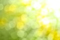 Nature Bokeh - Abstract Background