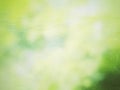 nature bokeh abstract blur background for eco concept Royalty Free Stock Photo