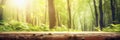 Nature bokeh forest background, empty wood board log against of green tree trunks with morning sunlight. Summer or spring blurred