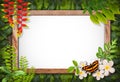 Nature border with flower and green leaf Royalty Free Stock Photo