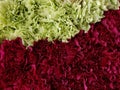 approach to red and green carnation flowers in a floral arrangement, background and texture Royalty Free Stock Photo