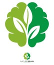 Nature Brain leaf logo