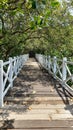 Nature bridge beach green tree white Royalty Free Stock Photo