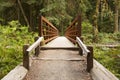 Nature Bridge end near Marymere Falls, Olympic National Park Royalty Free Stock Photo