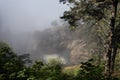 Nature Bridge in foggy morning in South Oregon