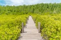 Nature bridge